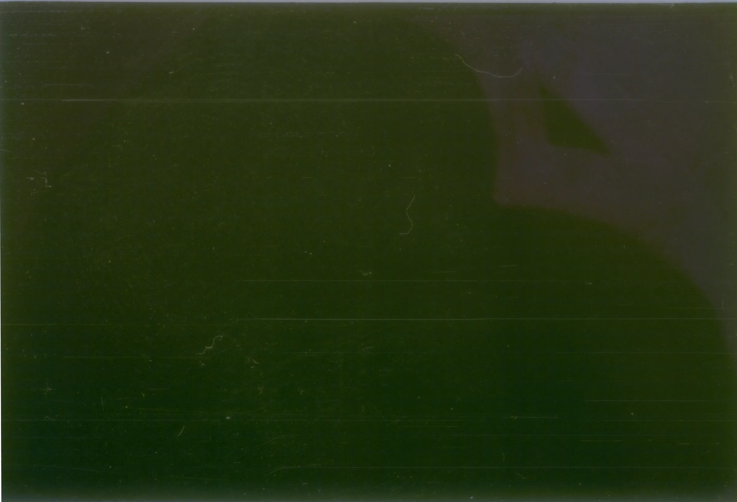 2025-09-02-0019