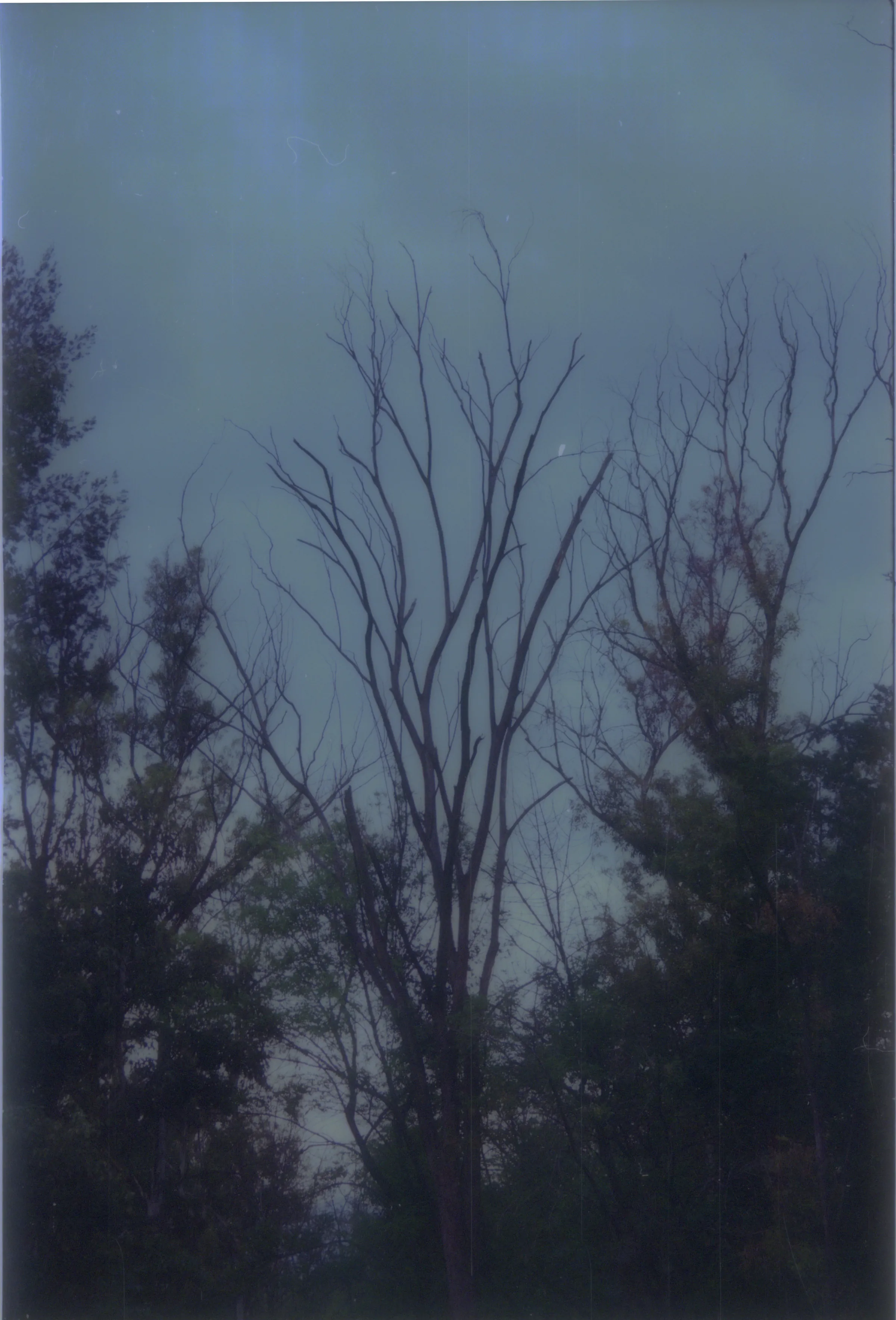 2025-08-06-0005