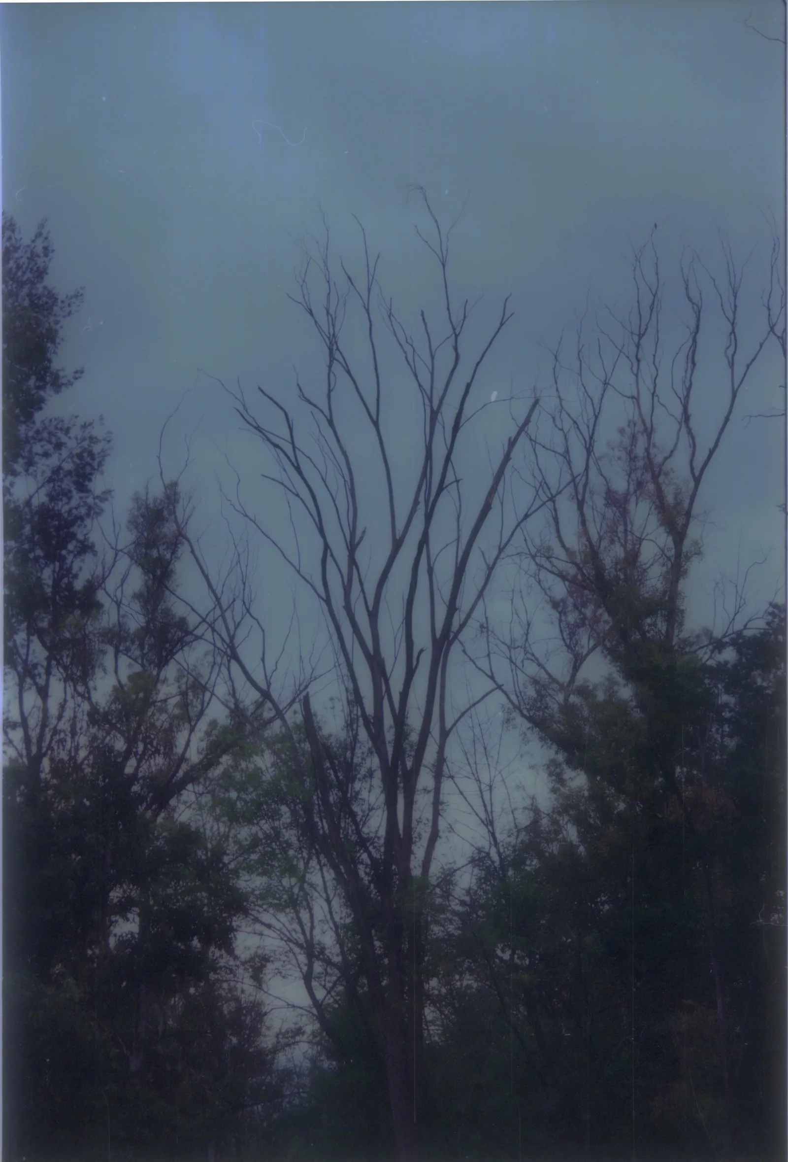 2025-08-06-0005