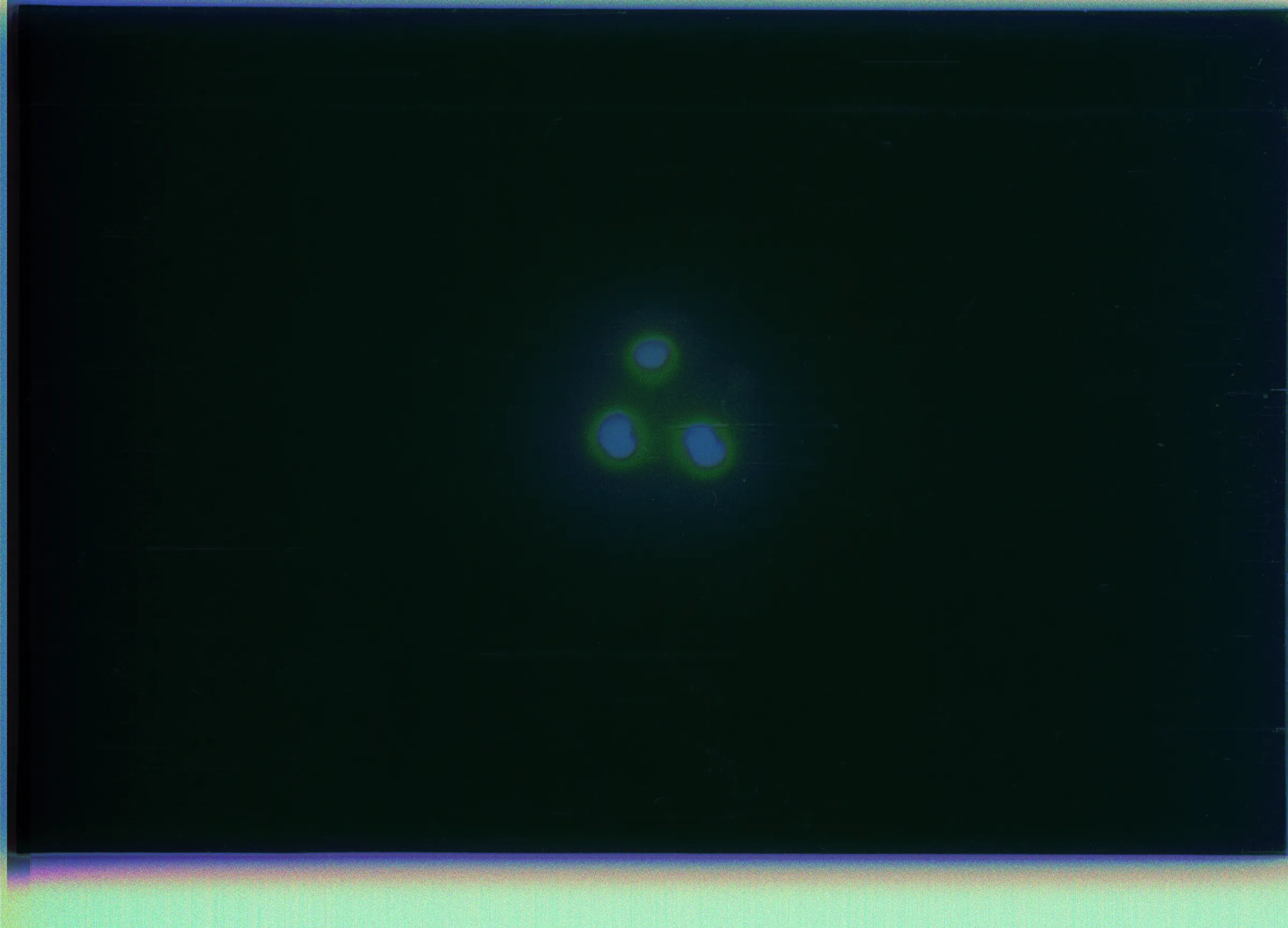 2026-01-09-0003